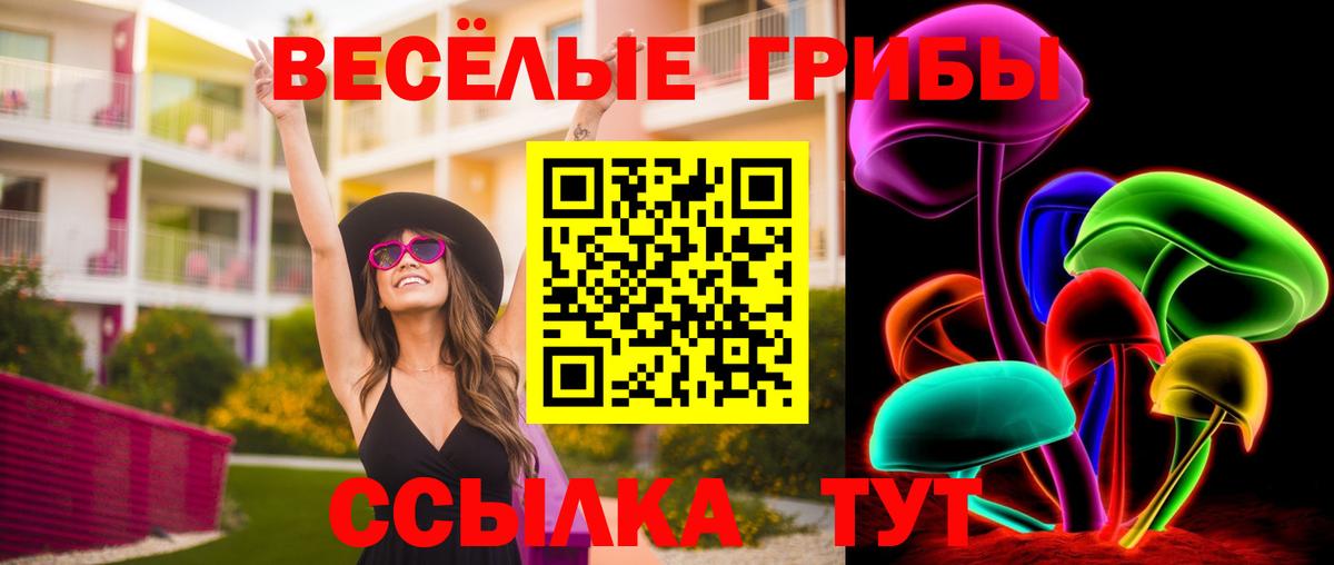 Псилоцибиновые грибы мицелий  Вход с VPN  Алапаевск 